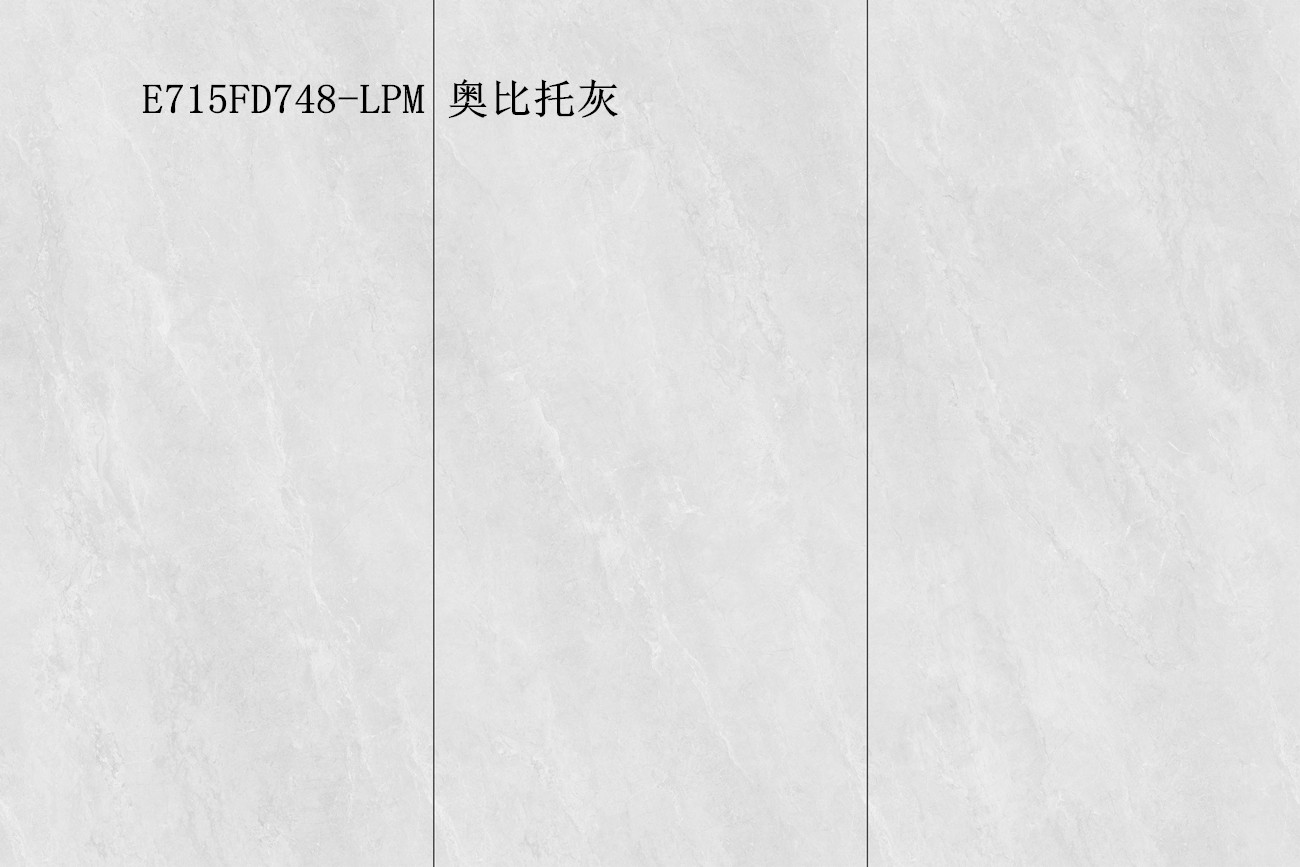 E715FD748-LPM 奥比托灰