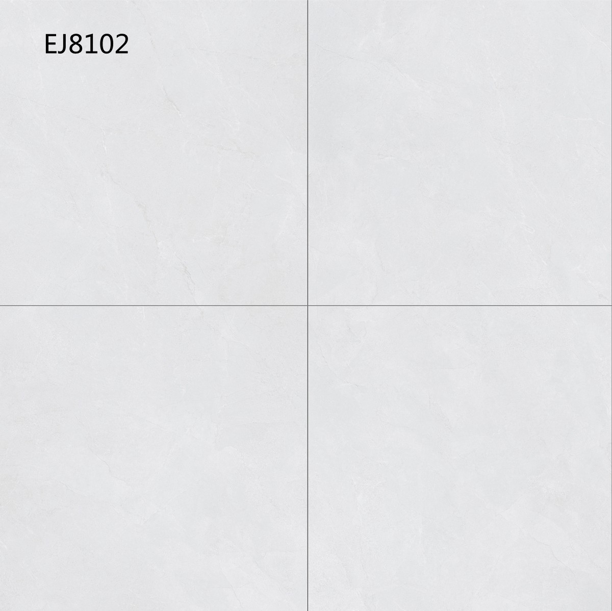 EJ8102