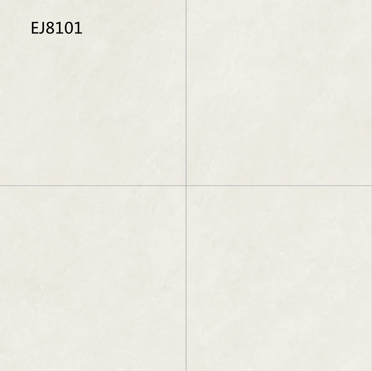 EJ8101
