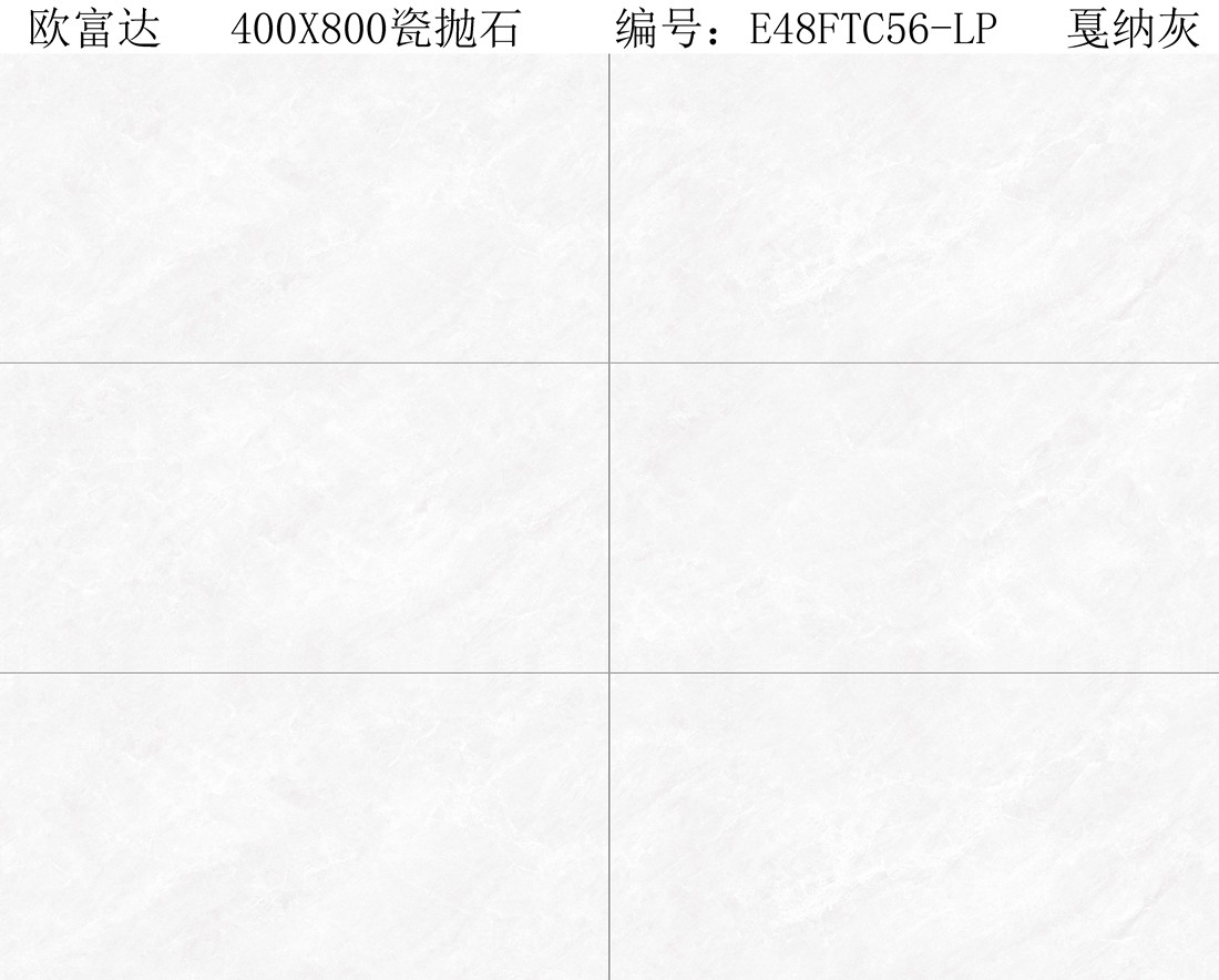E48FTC56-LP 戛纳灰