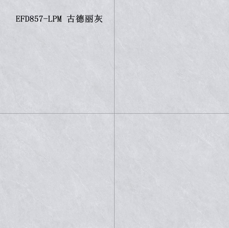 EFD857-LPM 古德丽灰