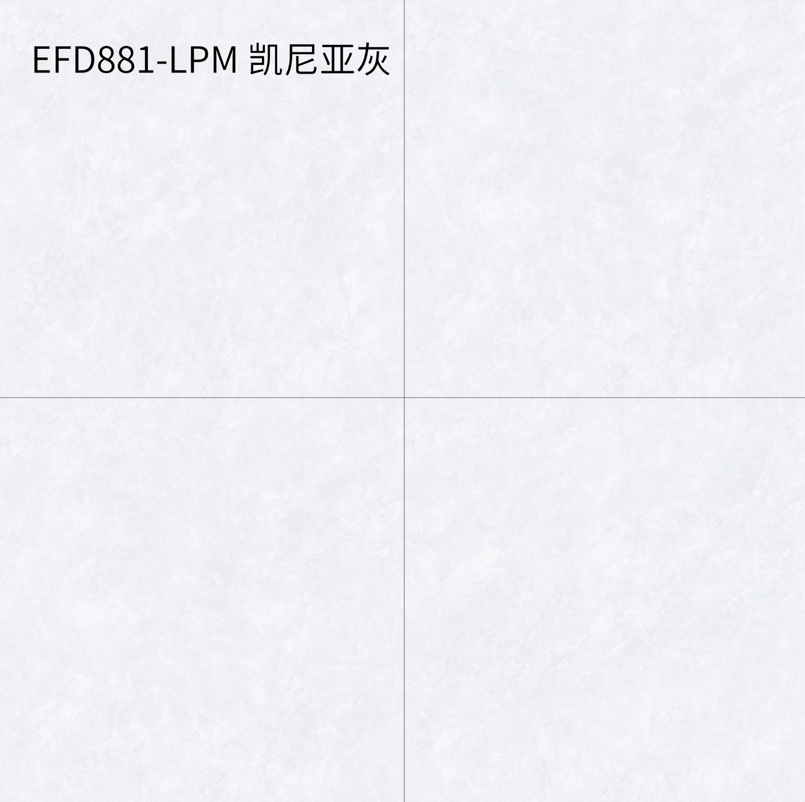 EFD881-LPM 凯尼亚灰